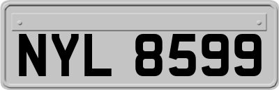 NYL8599