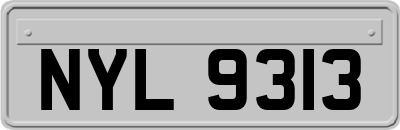 NYL9313