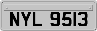 NYL9513