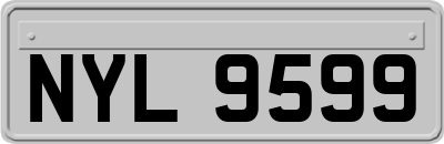 NYL9599