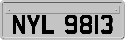 NYL9813