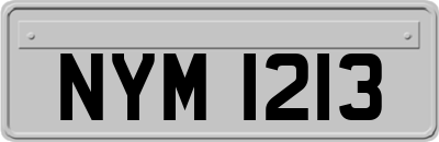 NYM1213