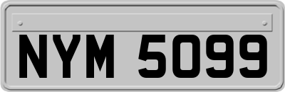 NYM5099