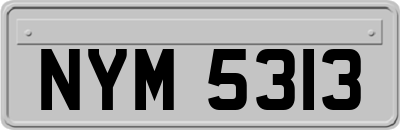 NYM5313