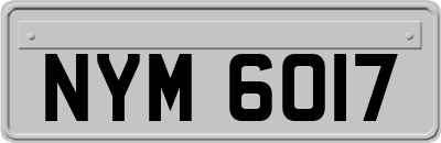 NYM6017