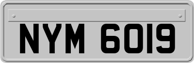 NYM6019
