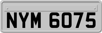 NYM6075