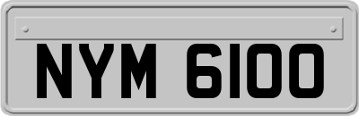 NYM6100