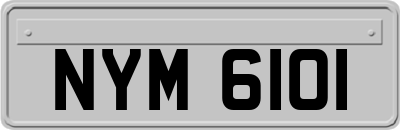 NYM6101