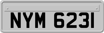 NYM6231