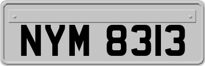 NYM8313