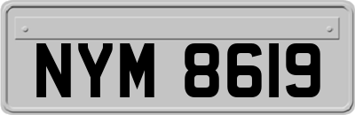 NYM8619
