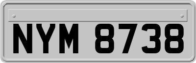 NYM8738