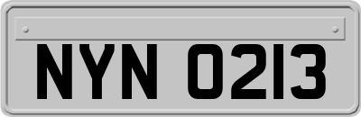 NYN0213