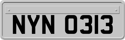 NYN0313