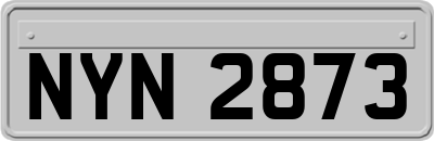 NYN2873