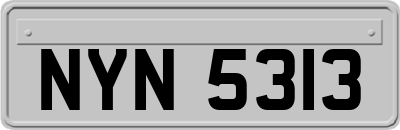 NYN5313