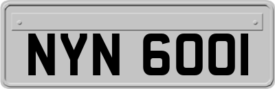 NYN6001