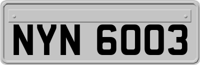 NYN6003