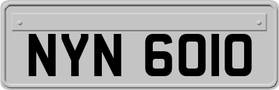 NYN6010