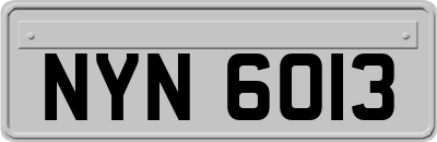 NYN6013