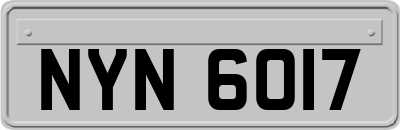 NYN6017
