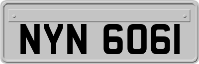NYN6061