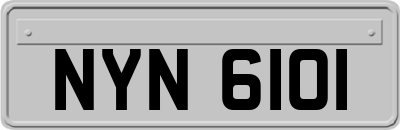 NYN6101