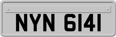NYN6141