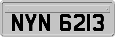 NYN6213