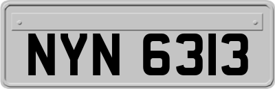 NYN6313