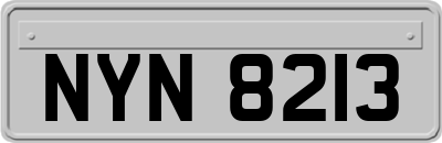 NYN8213