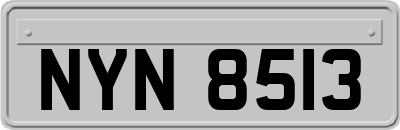 NYN8513