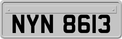 NYN8613