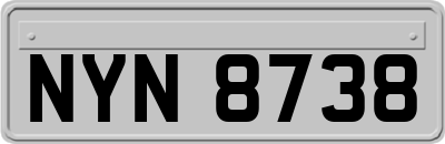 NYN8738