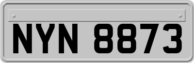 NYN8873