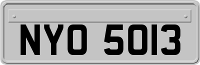 NYO5013