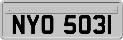 NYO5031