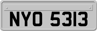NYO5313