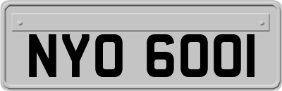 NYO6001