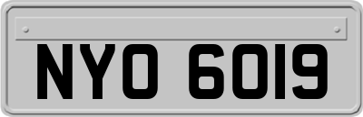 NYO6019