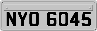 NYO6045