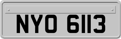 NYO6113
