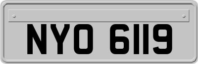 NYO6119