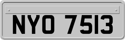 NYO7513