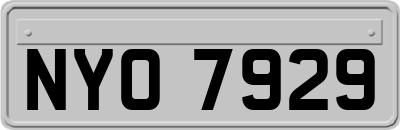 NYO7929