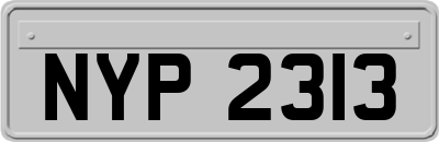 NYP2313