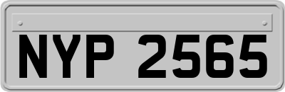 NYP2565