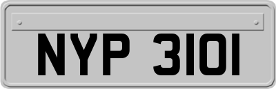 NYP3101
