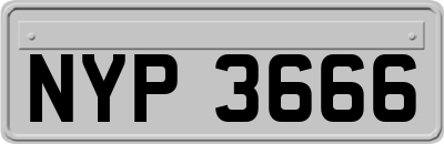 NYP3666